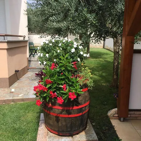 아파트 El Vista *