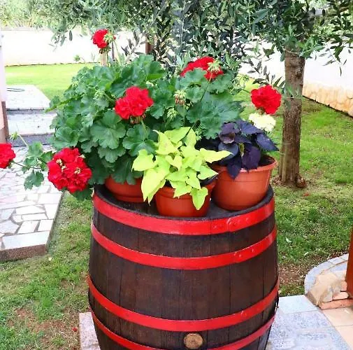 아파트 El Vista 빈쿠란